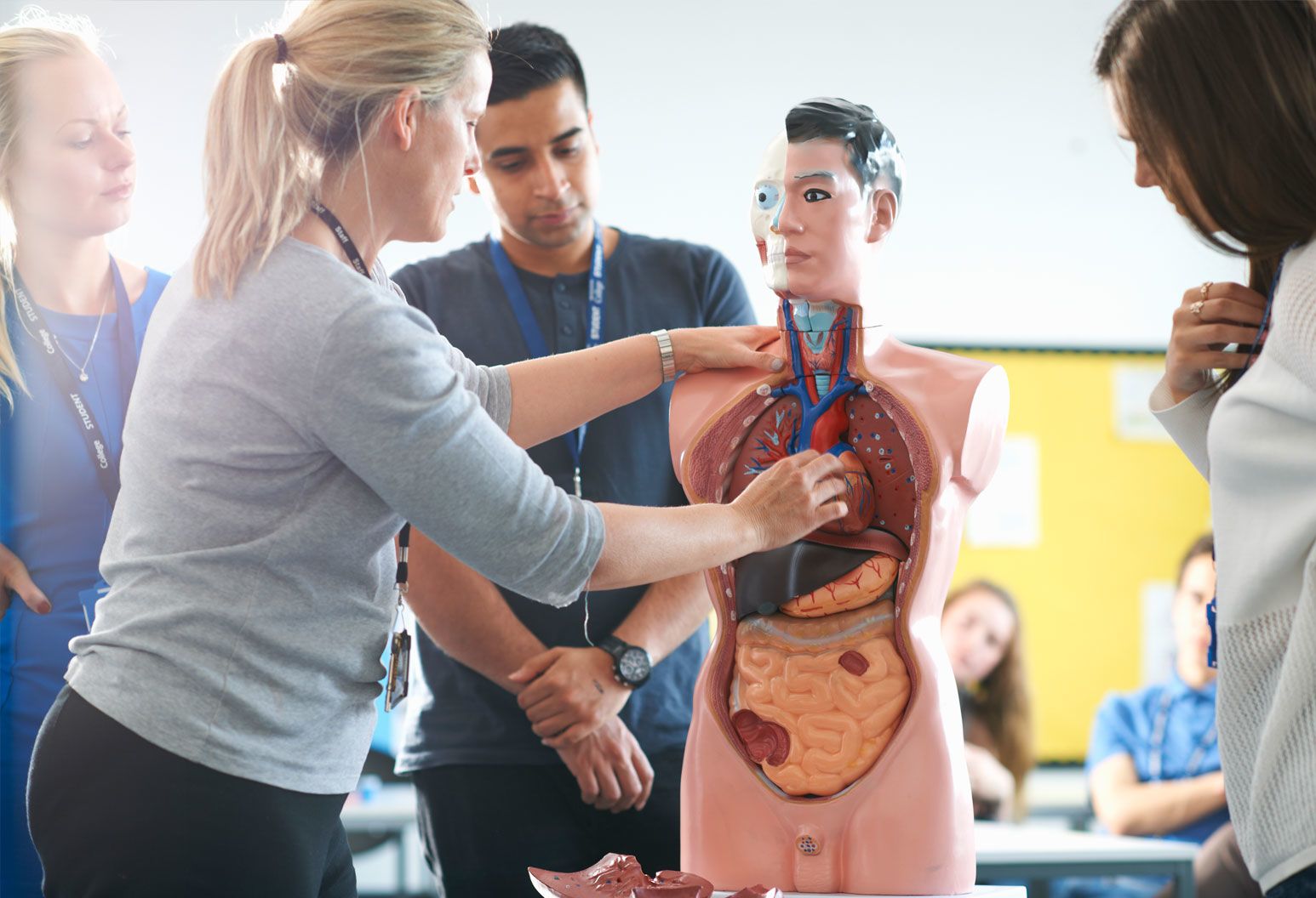 Continuing Education