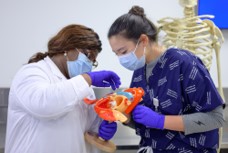 Structure Lab teaching