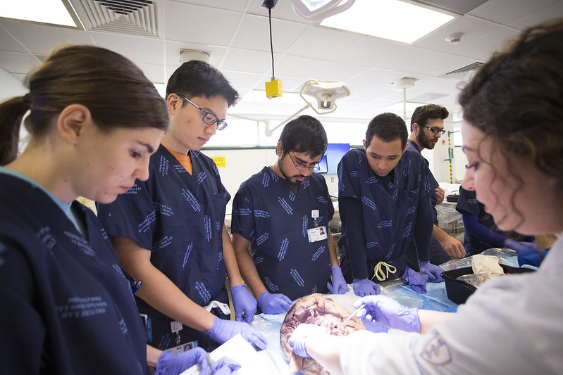 Structure Lab - Hands On Learning