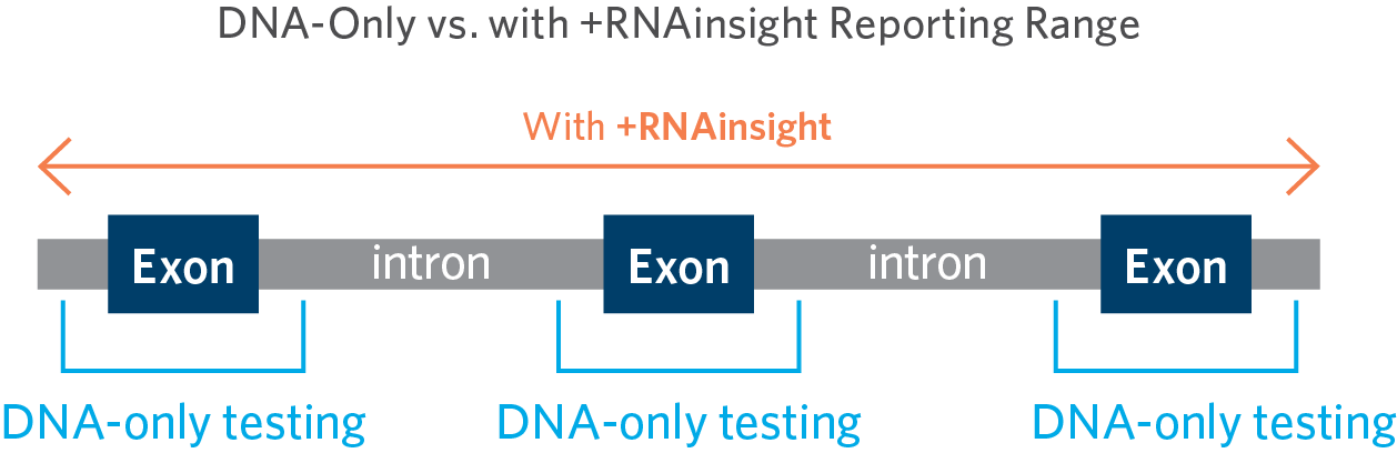 Exon and Intron: RNA vs. DNA Testing Coverage